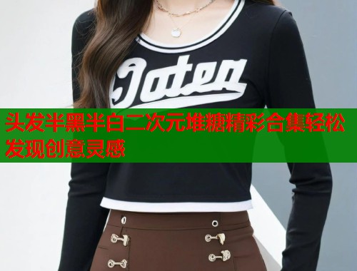 头发半黑半白二次元堆糖精彩合集轻松发现创意灵感  第2张